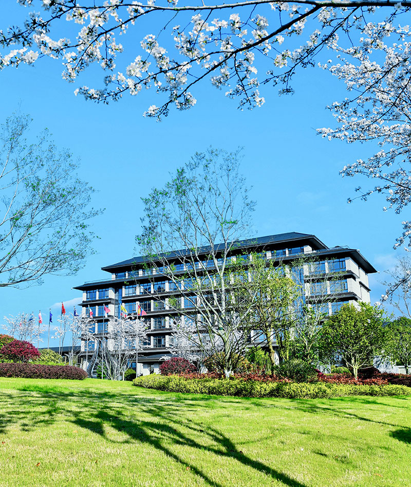 �й���8590am��������Ʋ�(����֮��)�ٷ���վ