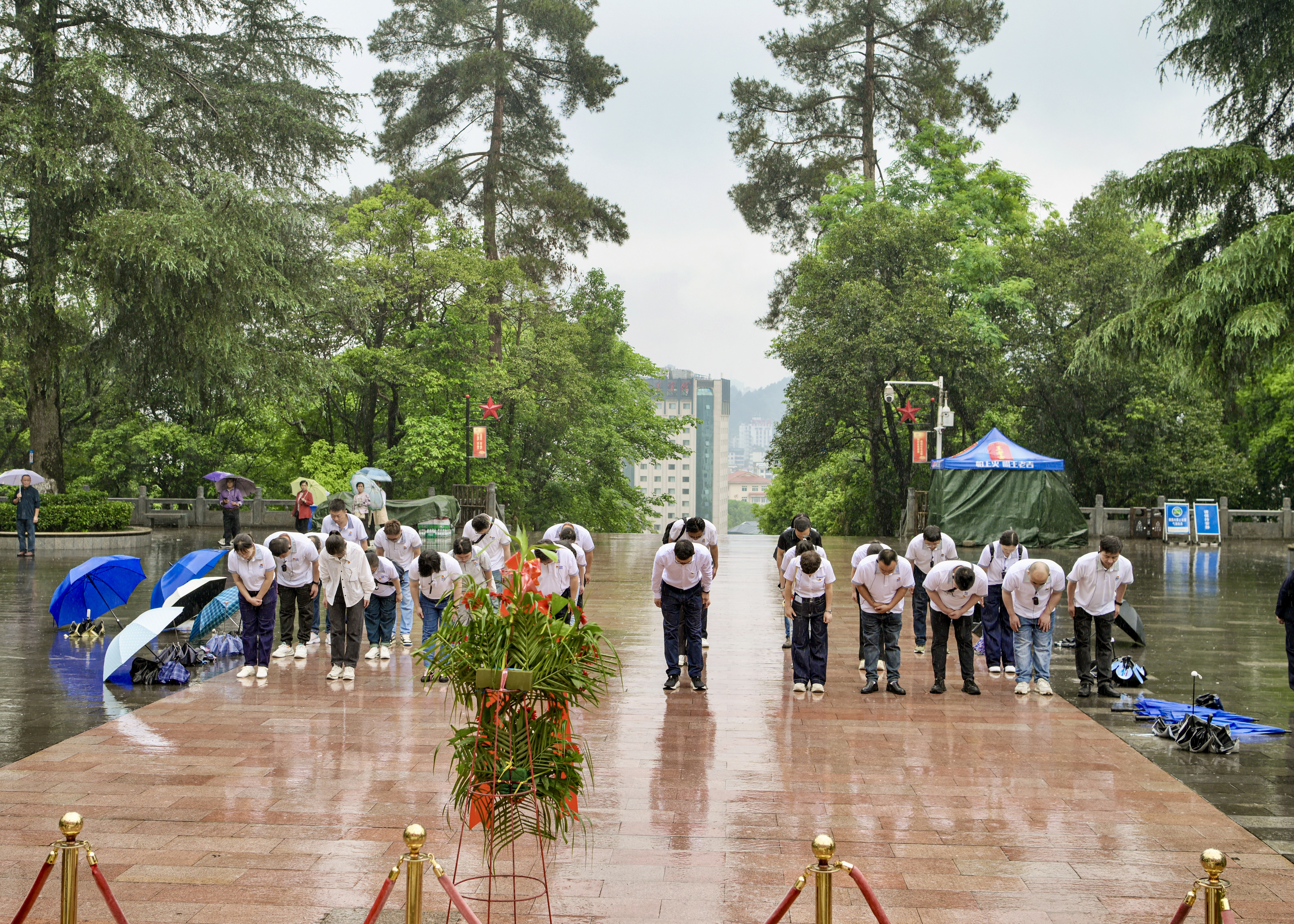 �й���8590am��������Ʋ�(����֮��)�ٷ���վ